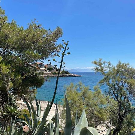 Apartments Papic Trogir Exterior photo